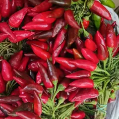 Pęczek ostrych papryczek peperoncino, idealnych do dodania pikantności potrawom.