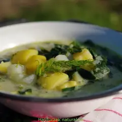 Zupa z ziemniakami i zielonymi warzywami, udekorowana koperkiem. Pyszny, domowy obiad.