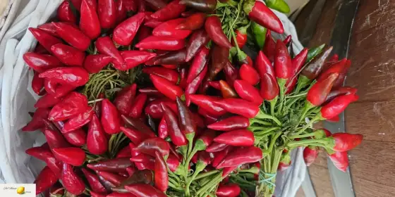 Peperoncino - co to jest i jak używać go w kuchni?
